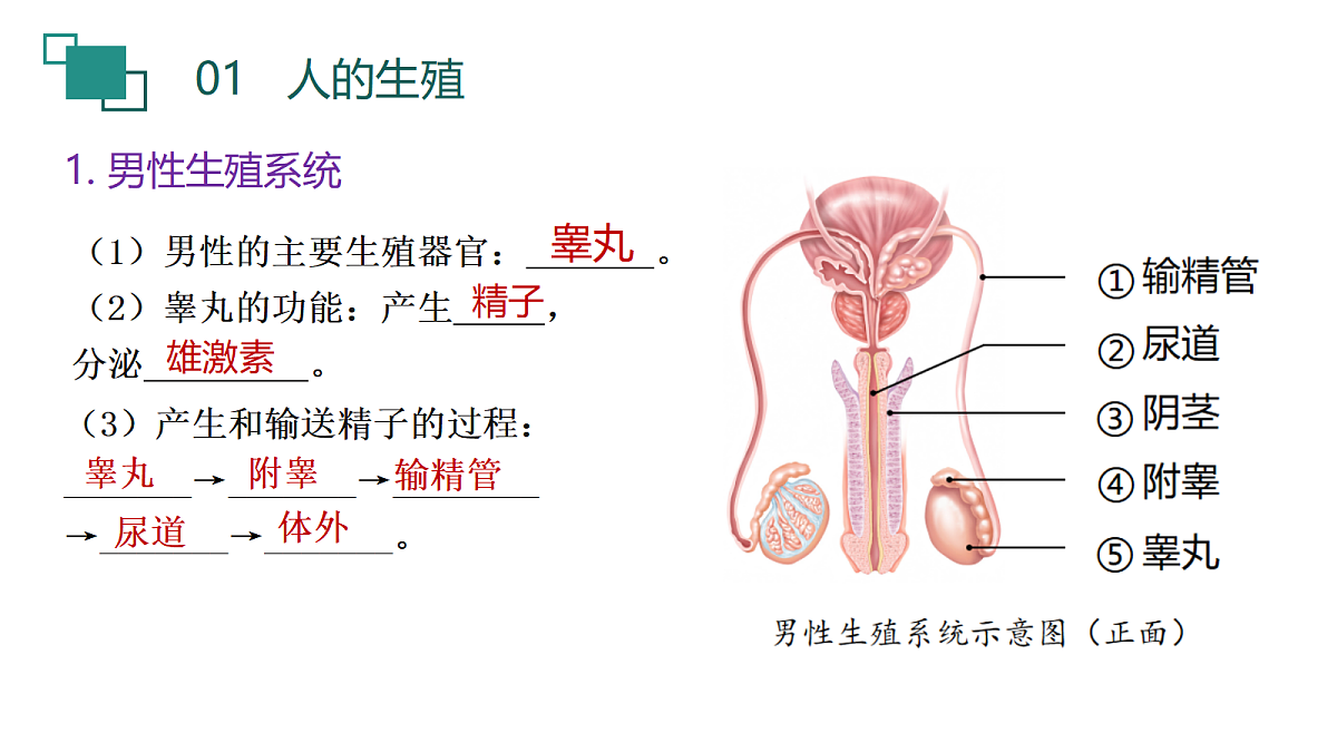 18190247第4页