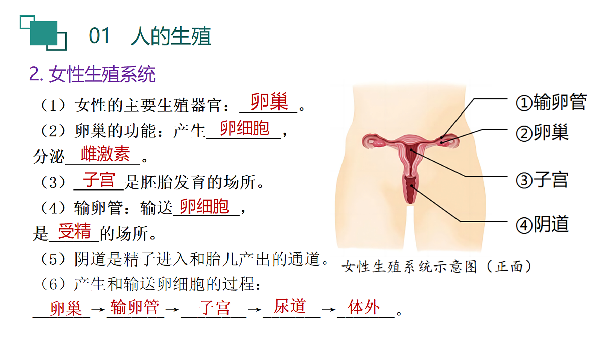 18190247第5页