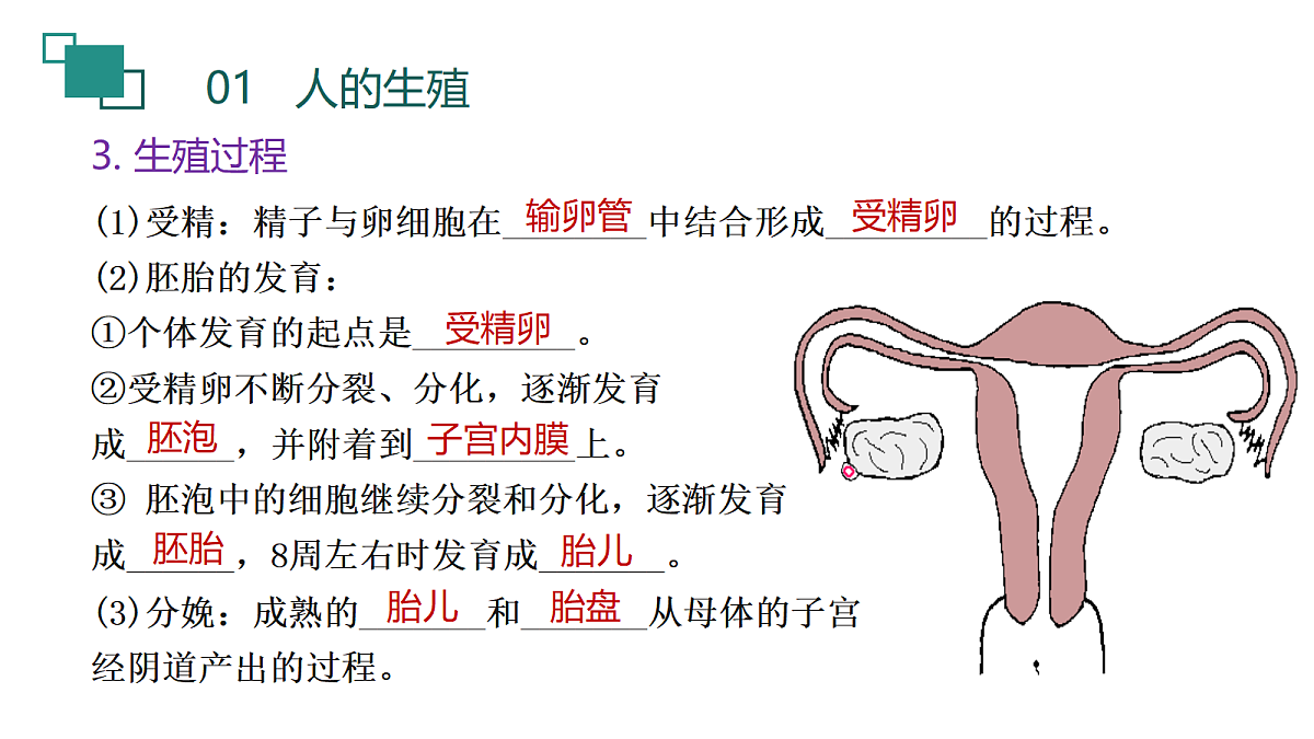 18190247第6页