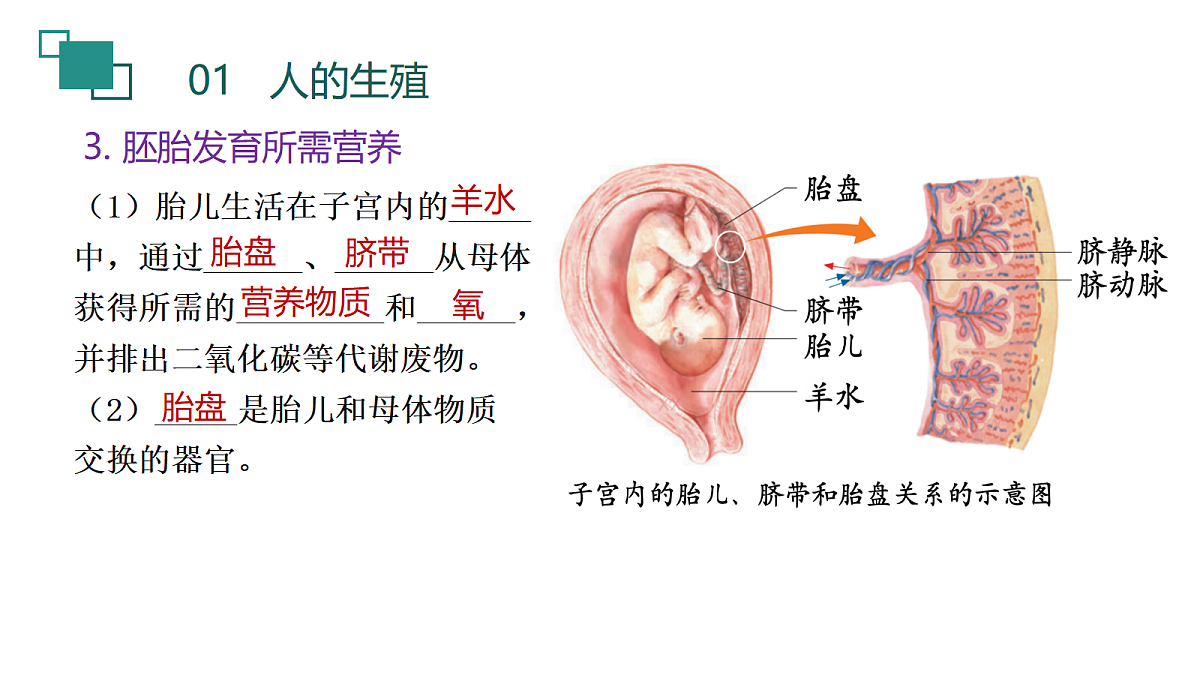 18190247第7页