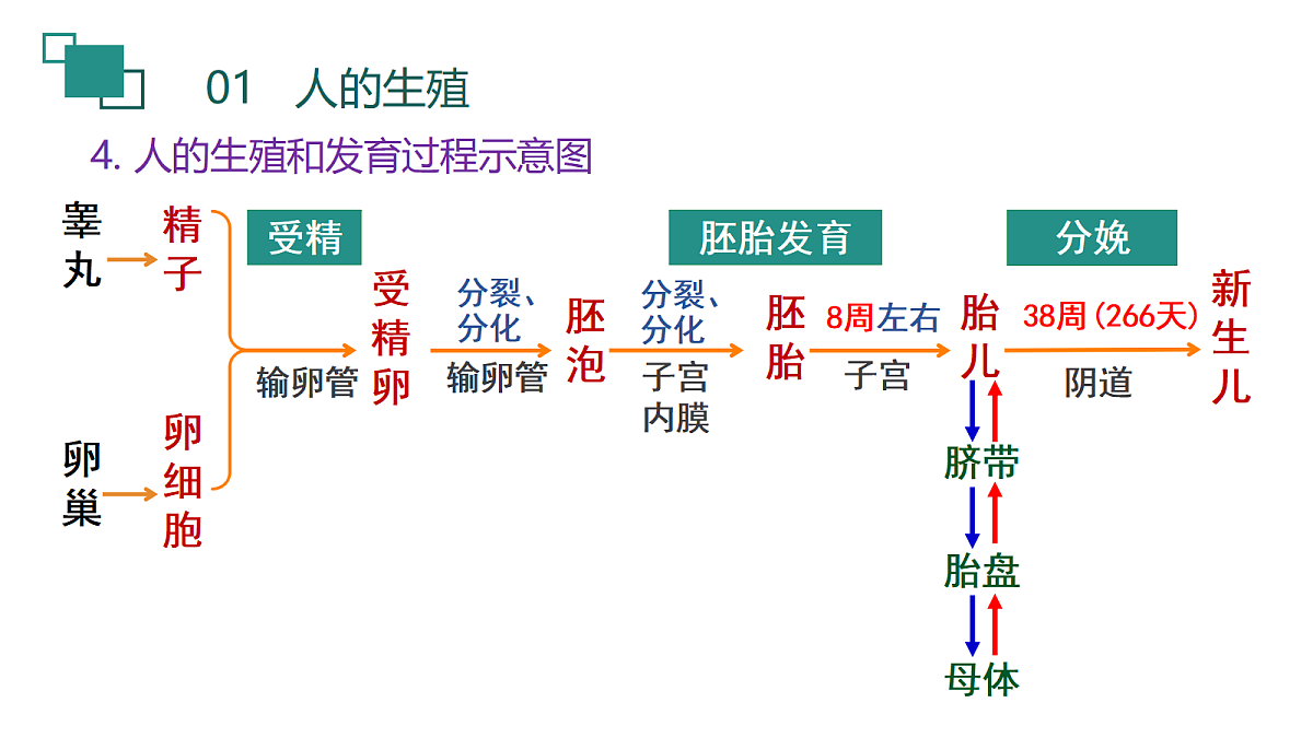 18190247第8页