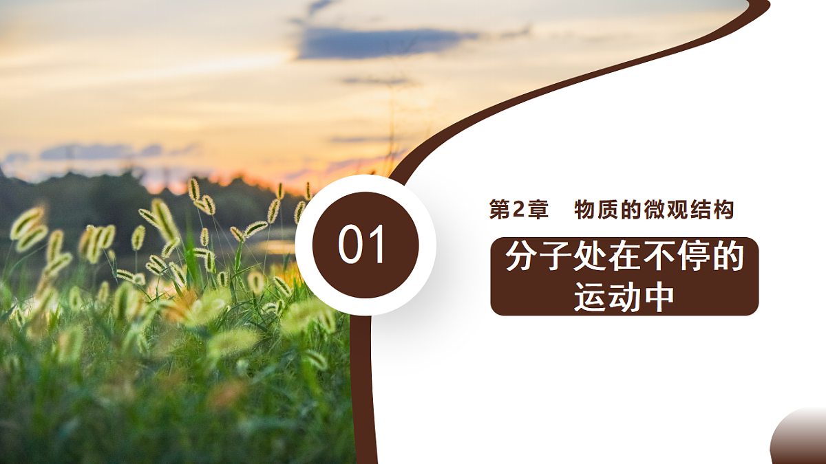 18190251第7页