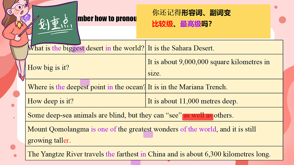 18190838第3页