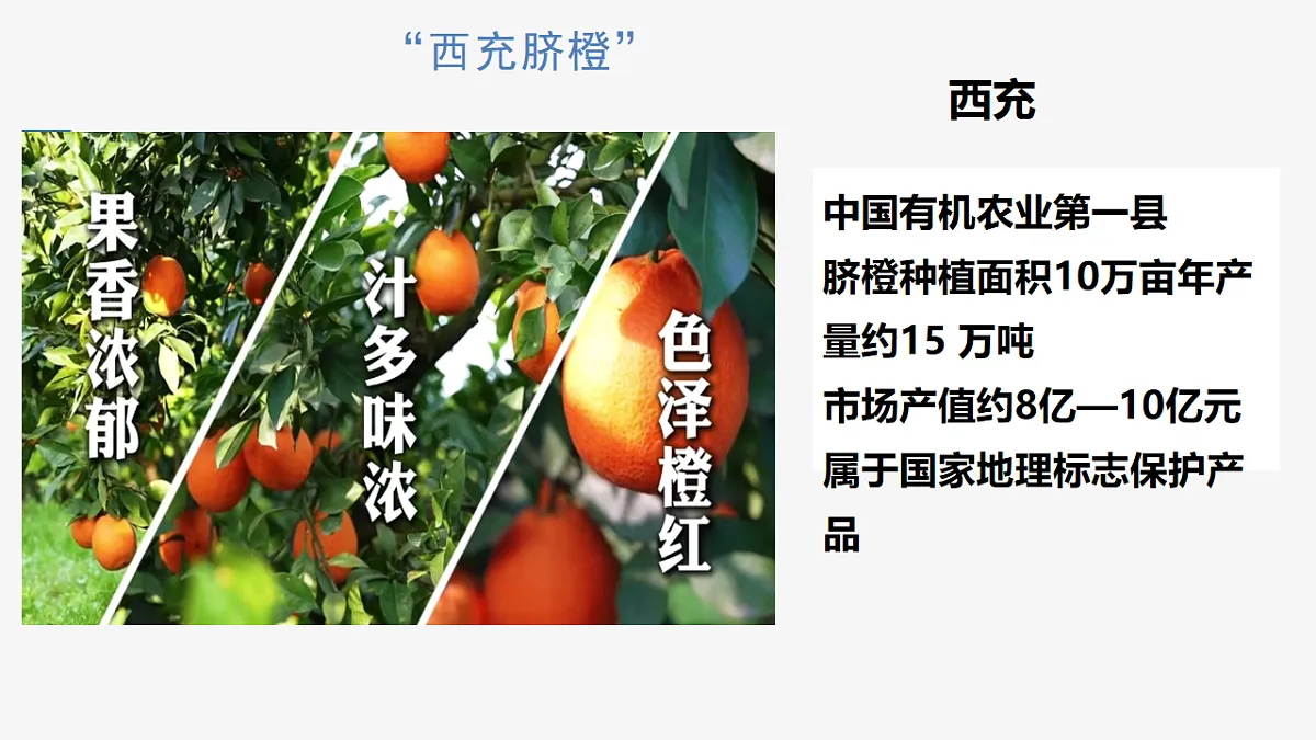 18191193第8页