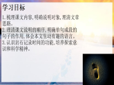 统编版语文八年级下册8 时间的脚印 课件