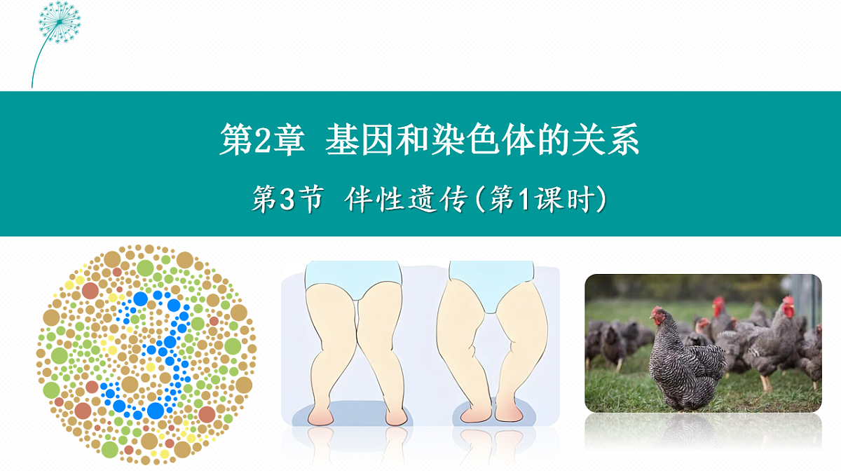 18193960第1页