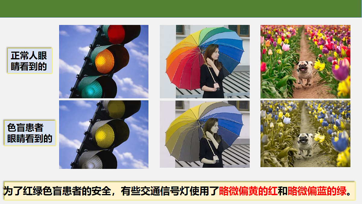 18193960第7页