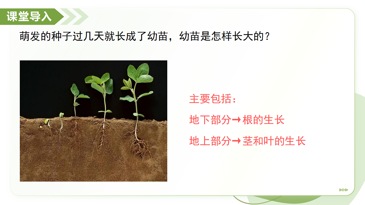 18193977第3页