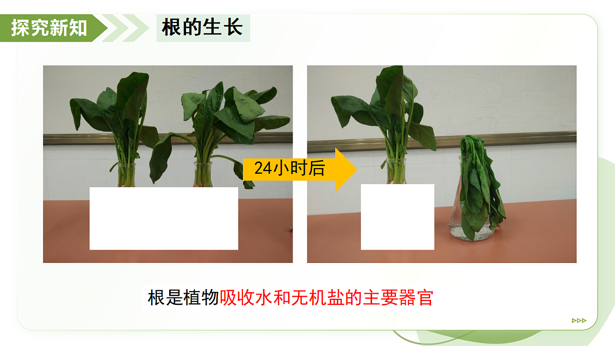 18193977第5页