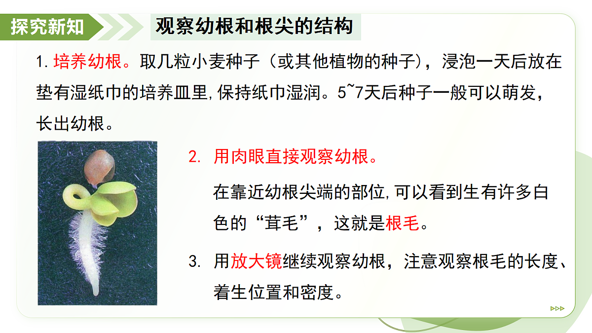 18193977第7页