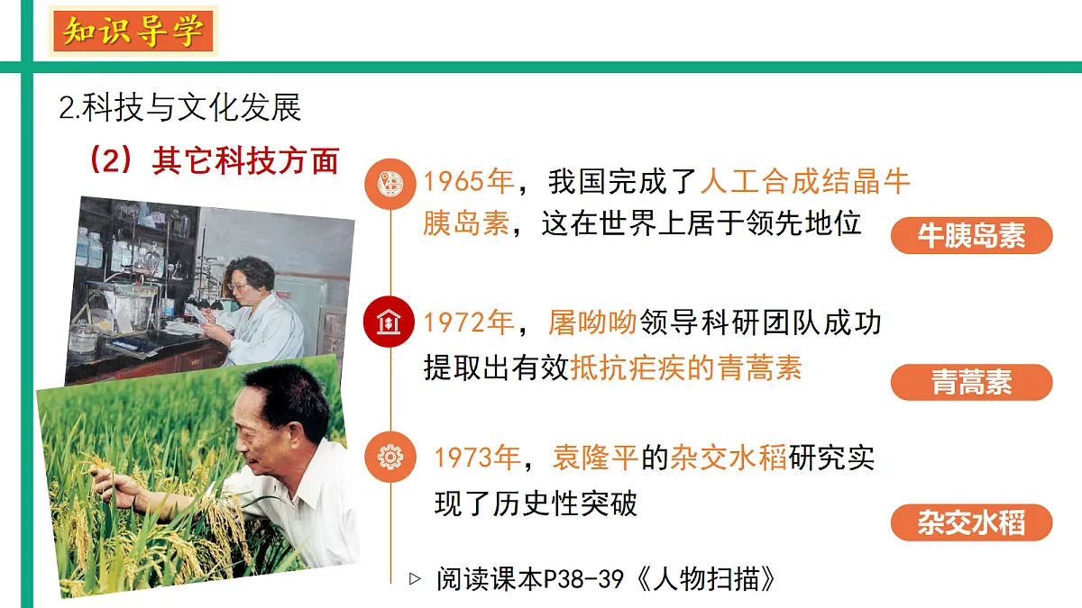 18193987第8页