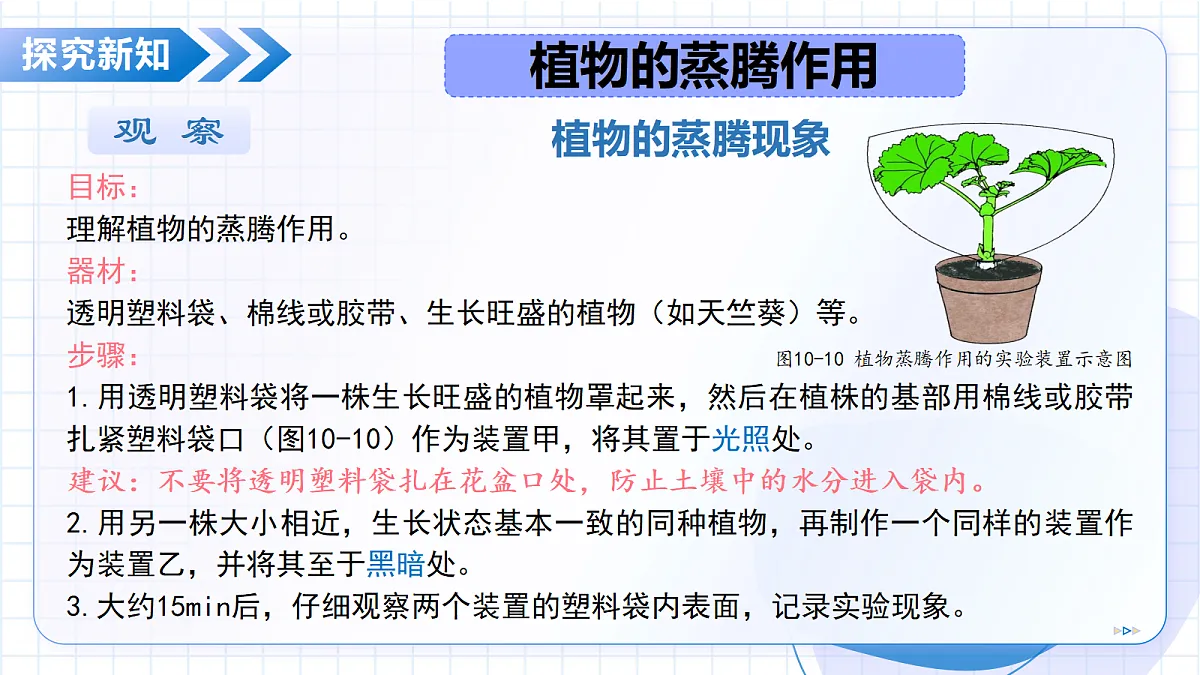 18193996第7页