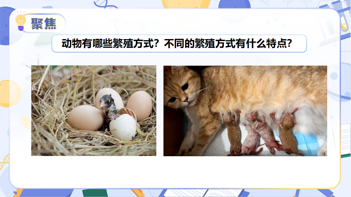 18194686第7页