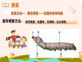 新教科版小学科学三下第二单元《4 幼蚕在生长》课件