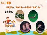 新教科版小学科学三下第二单元《5 蚕变了新模样》课件
