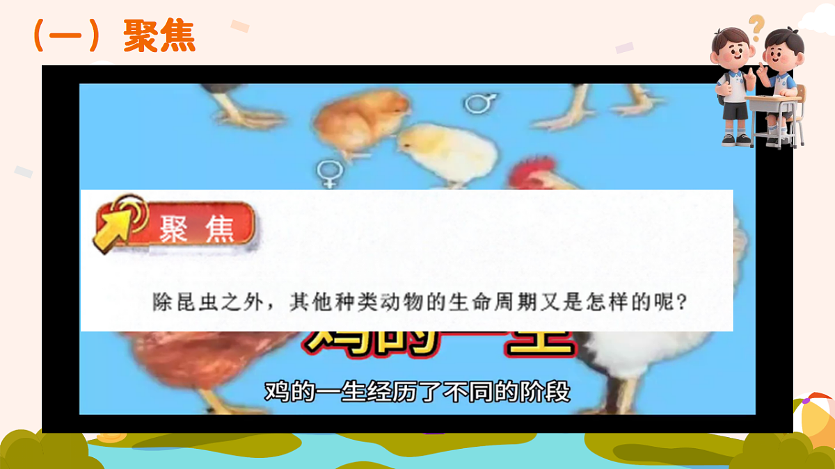 18194693第3页