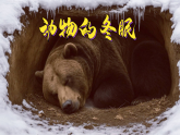 新教科版小学科学三下《第三单元 科学阅读》课件