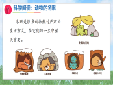 新教科版小学科学三下《第三单元 科学阅读》课件