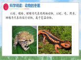新教科版小学科学三下《第三单元 科学阅读》课件