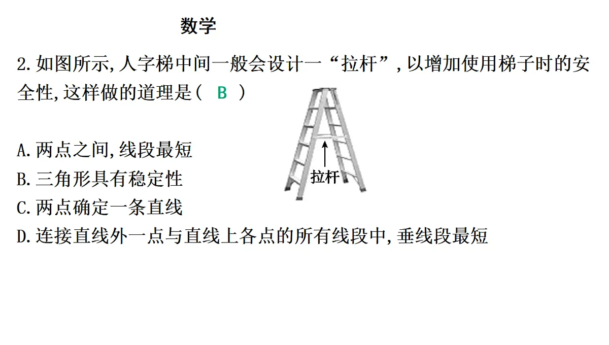 18195541第8页