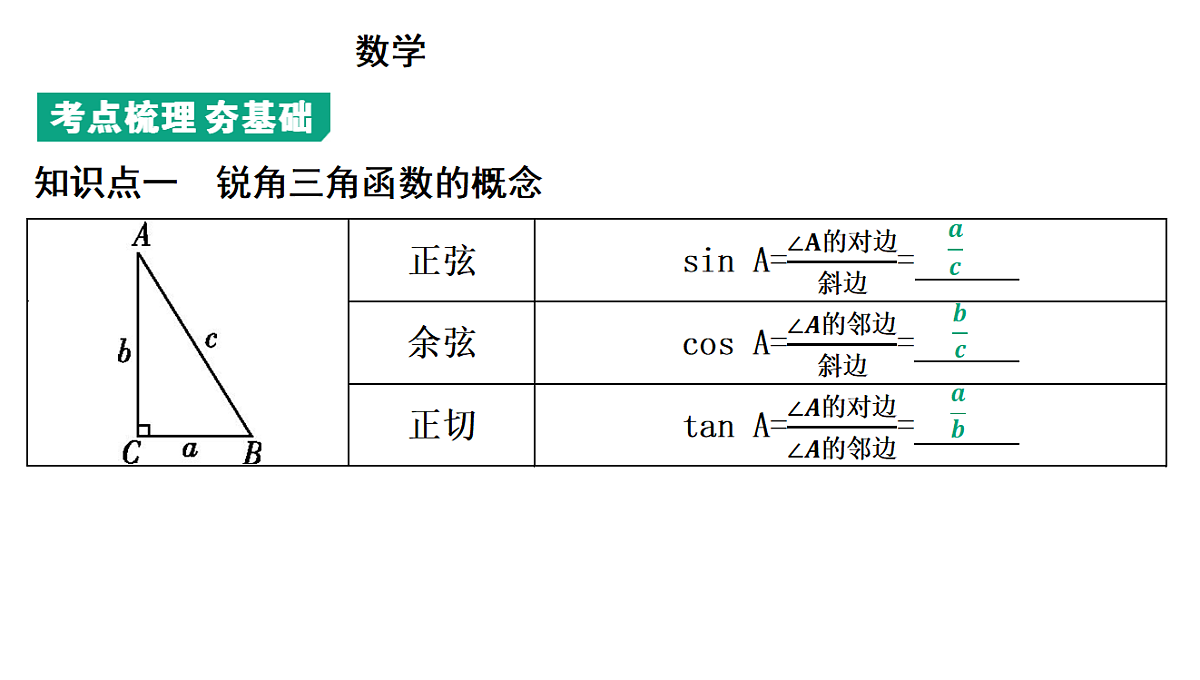18195546第3页