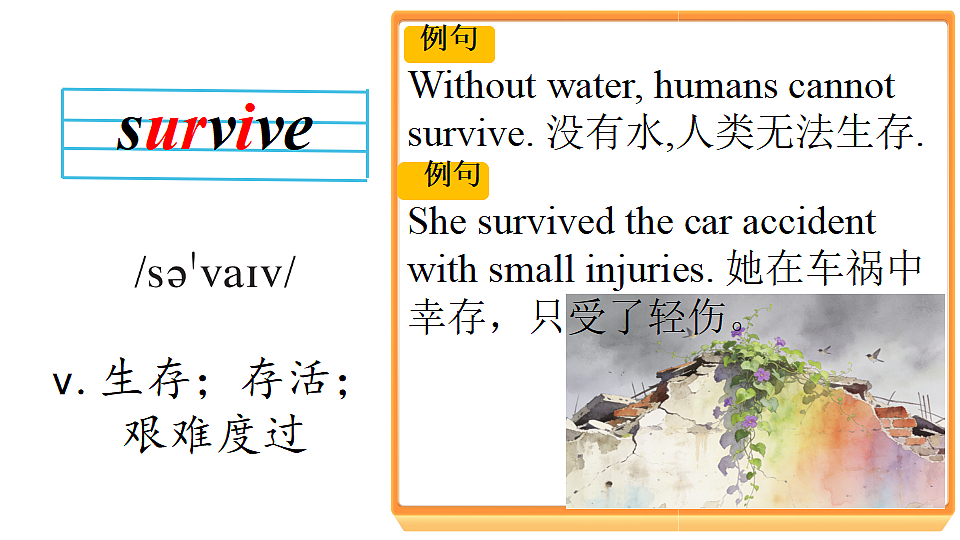 18195566第5页