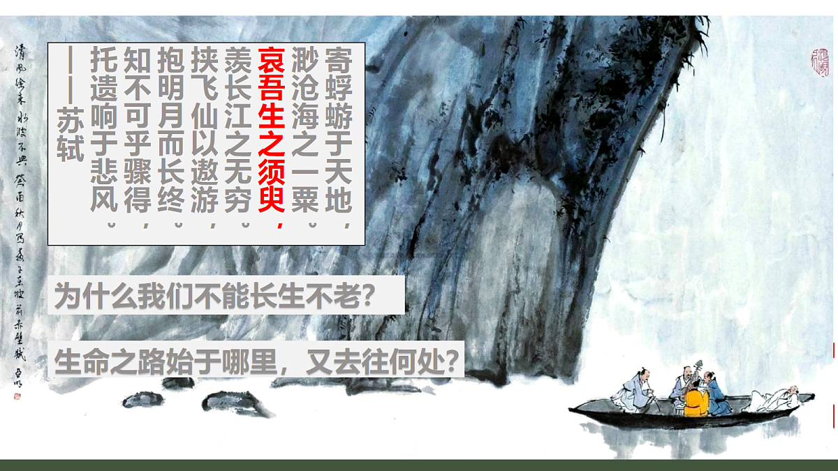 18195658第2页