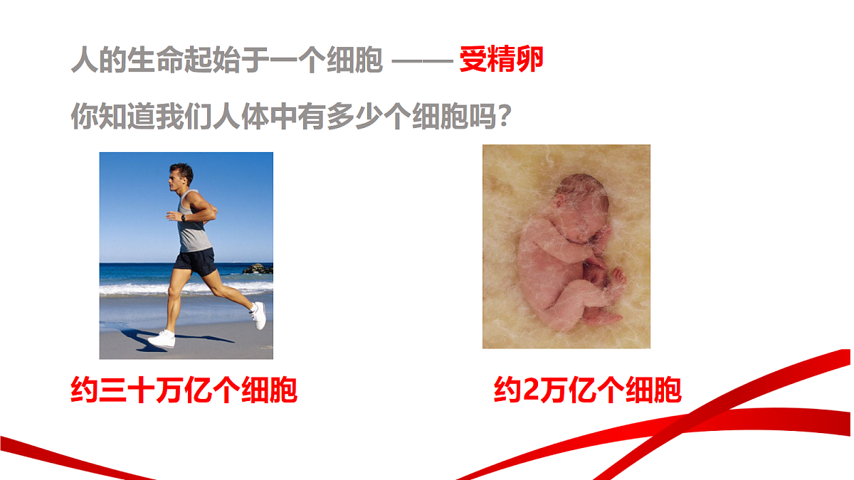 18195658第3页