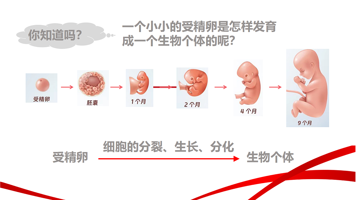 18195658第4页