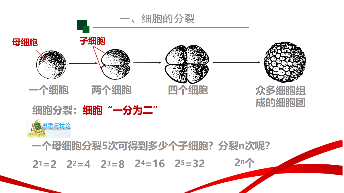 18195658第6页