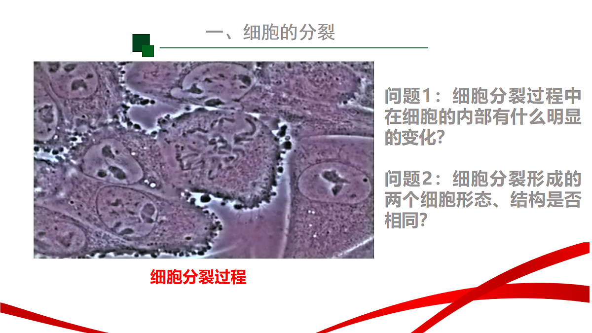 18195658第7页