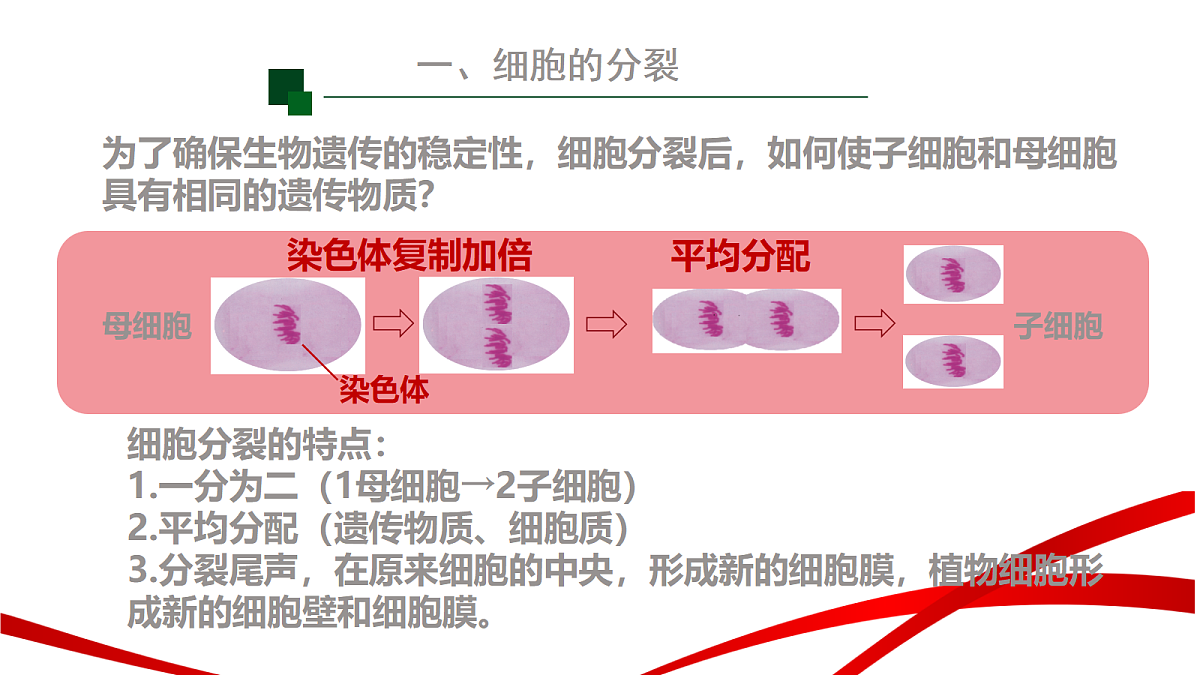 18195658第8页