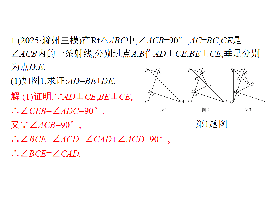 18196358第2页