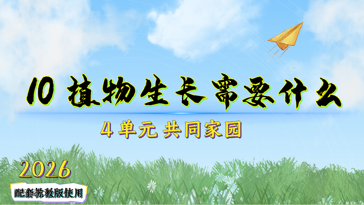 18196758第2页