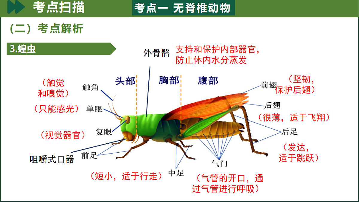 18197151第7页