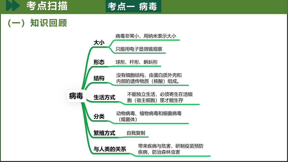 18197160第4页