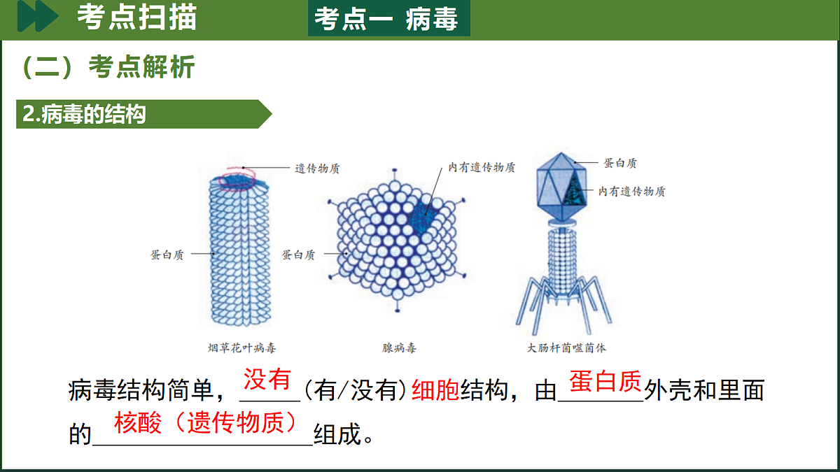18197160第6页