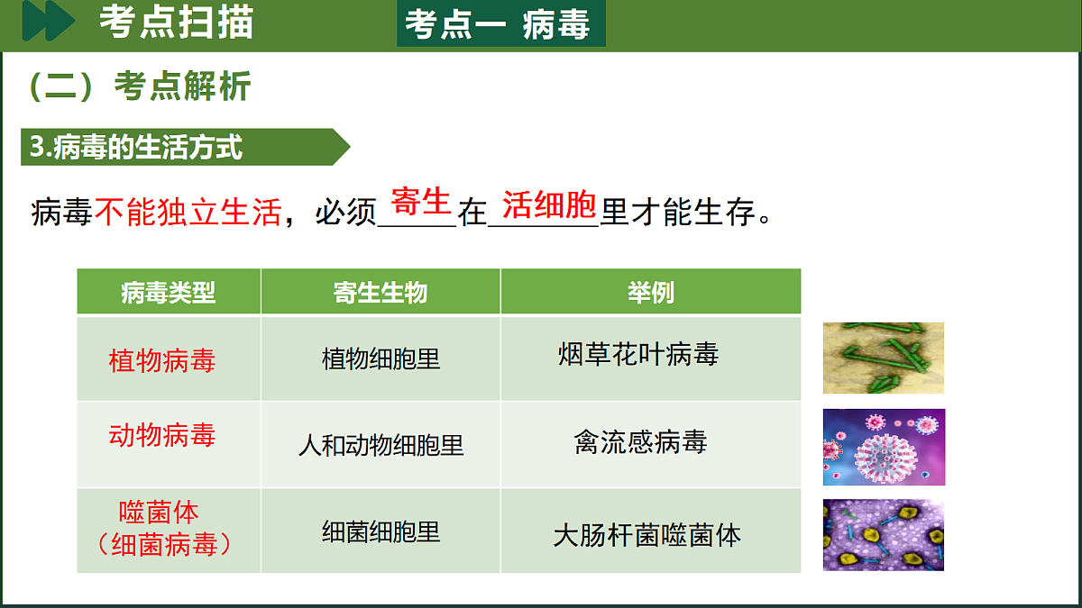 18197160第7页