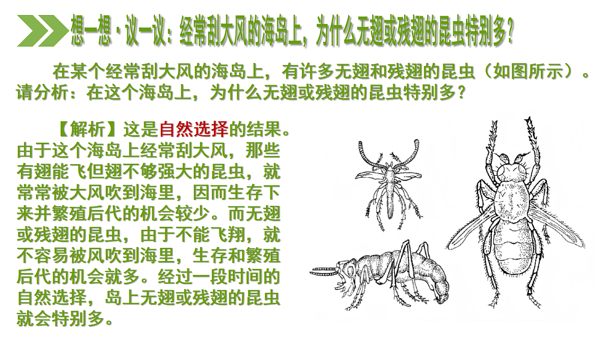 18197348第2页