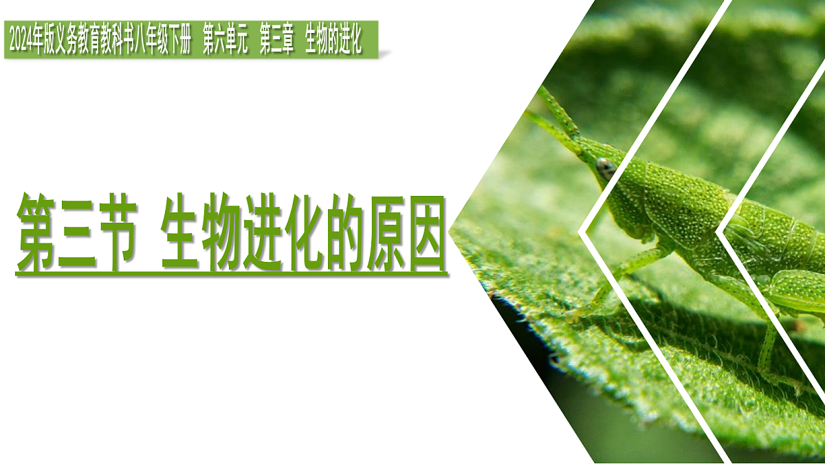 18197348第3页