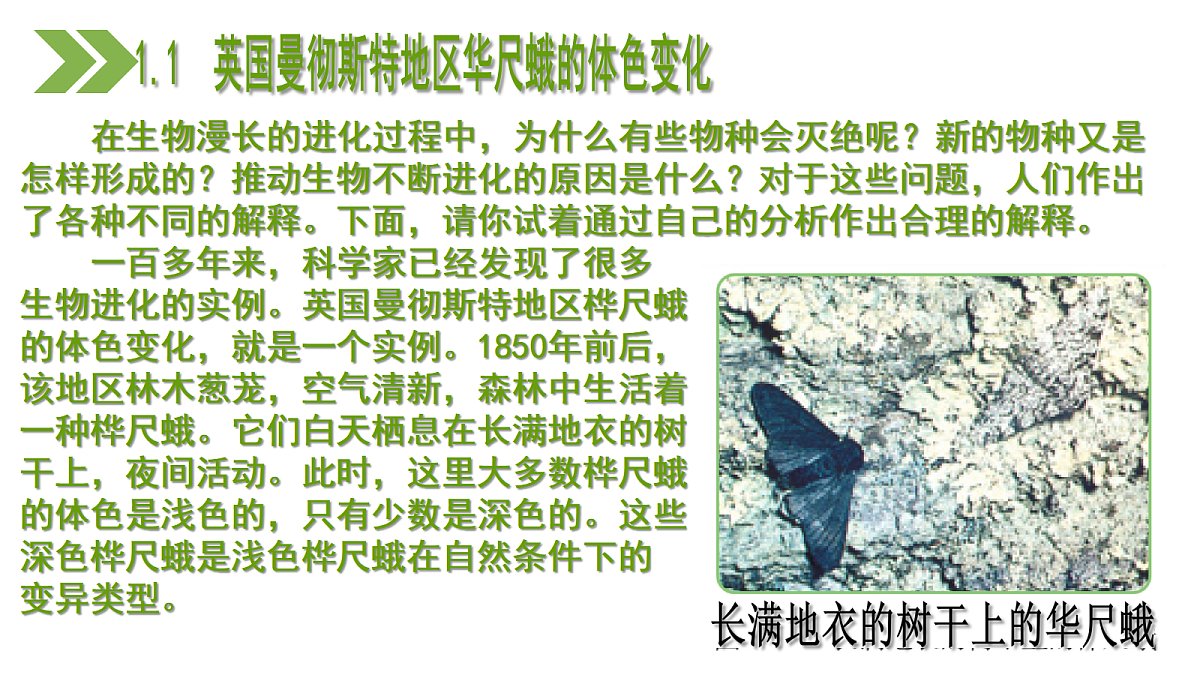 18197348第7页