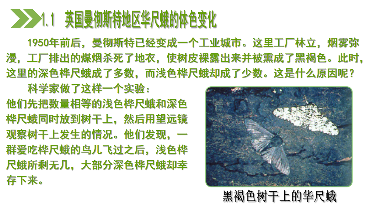 18197348第8页