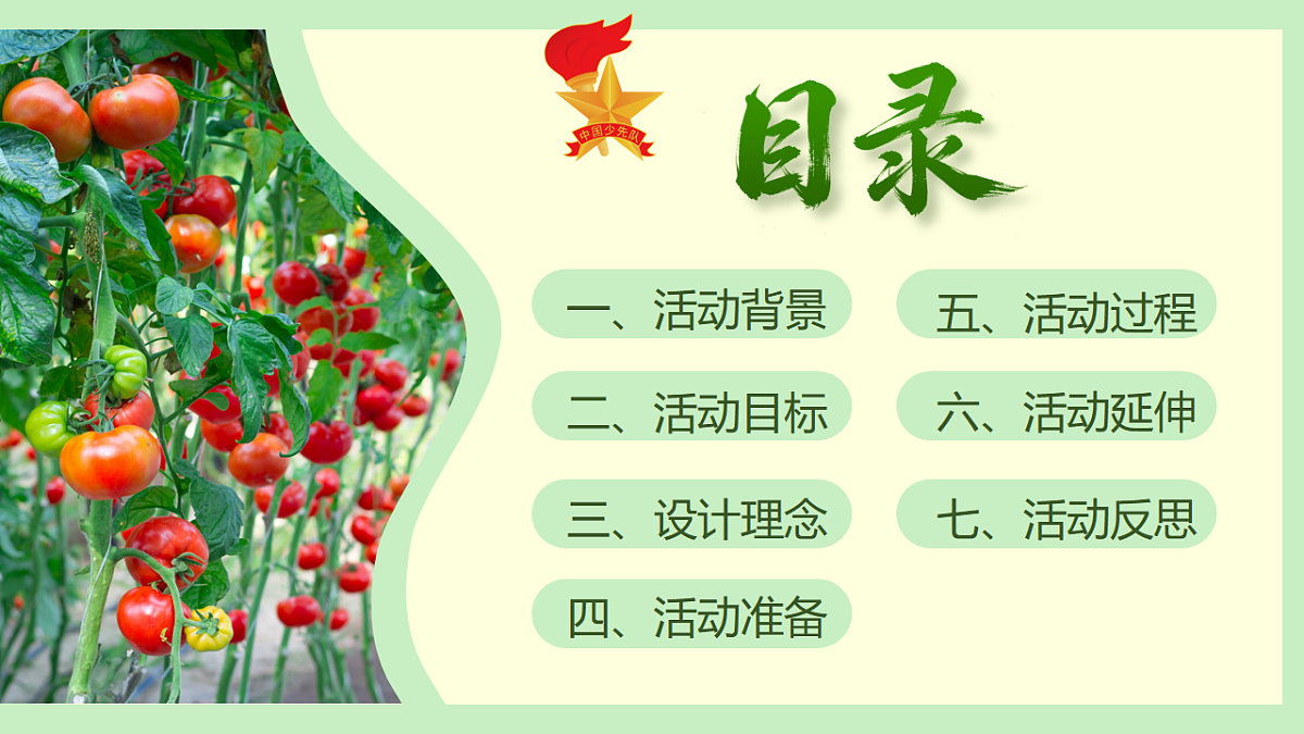 18198268第2页
