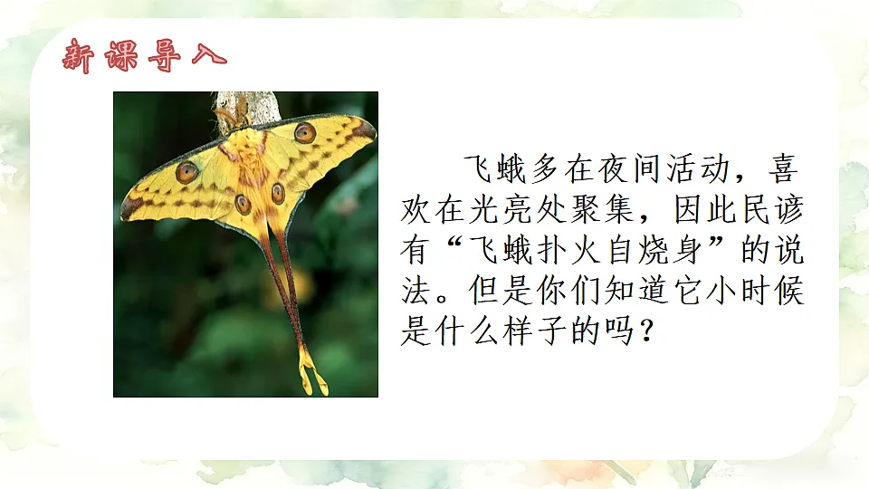 18198323第2页