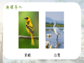 14 古诗二首(课件)2025-2026学年部编版二年级语文下册