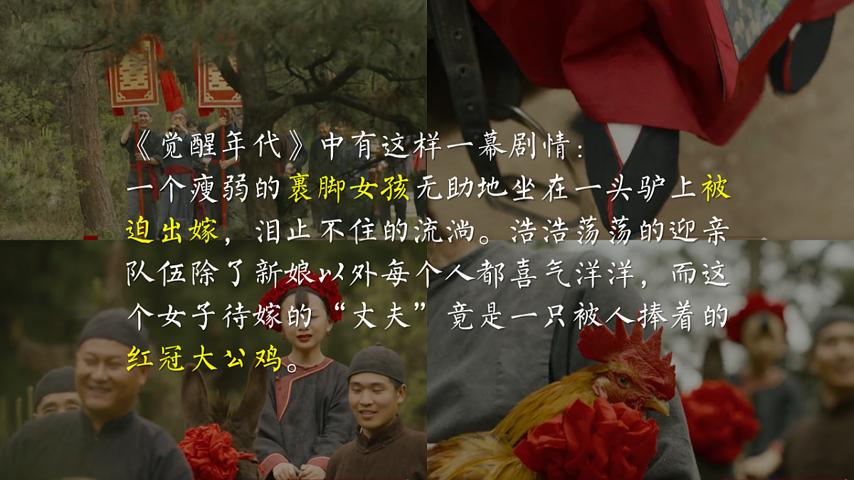 18198891第4页