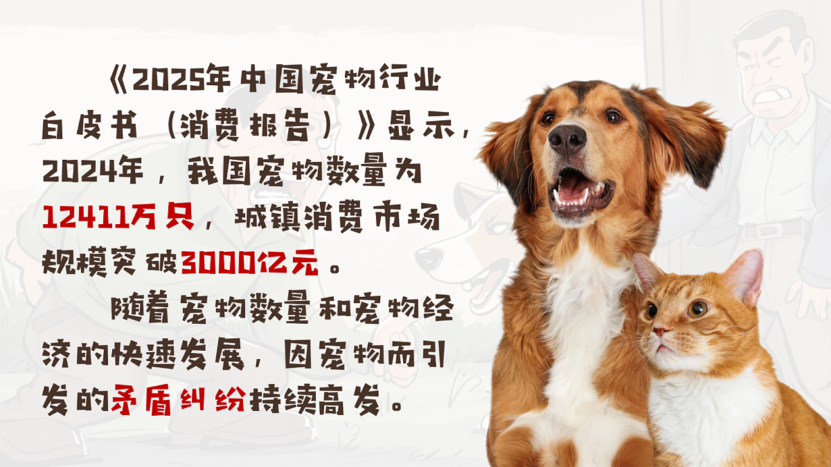 18198909第3页