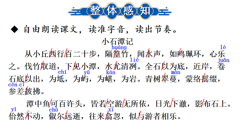 18199660第6页