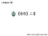 初中语文新部编版八年级下册第三单元12 《诗经》二首 考点精讲教学课件（2026春）