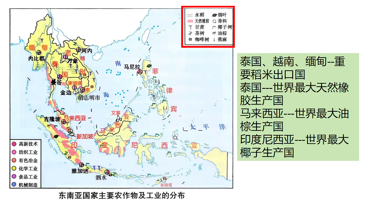 18199695第7页